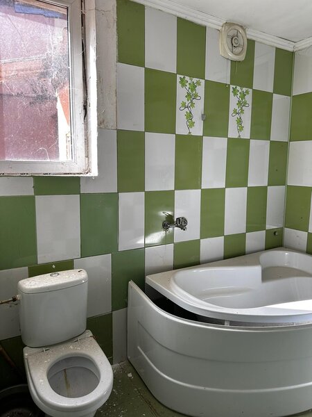 Mihai Eminescu, Mosilor,