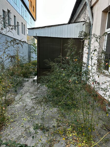 Mihai Eminescu, Mosilor,