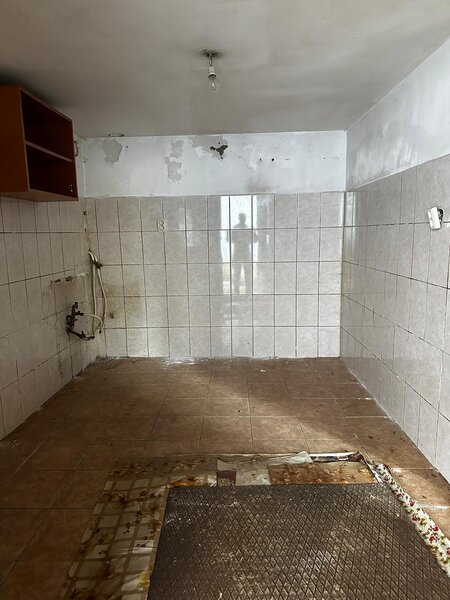 Mihai Eminescu, Mosilor,