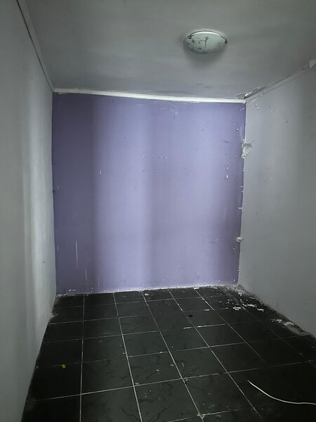 Mihai Eminescu, Mosilor,