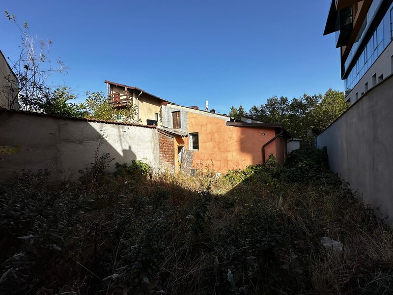 Mihai Eminescu, Mosilor,