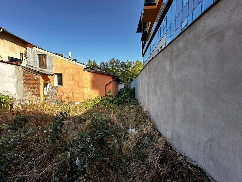 Mihai Eminescu, Mosilor,