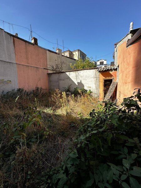 Mihai Eminescu, Mosilor,